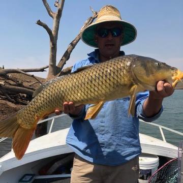 Jason S, Carp, 6.94kg (86cm) on bait at Lake Glenbawn